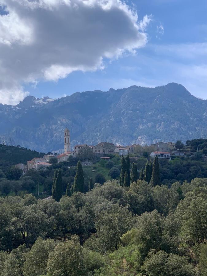 A Furtezza Apartment Soveria Bagian luar foto